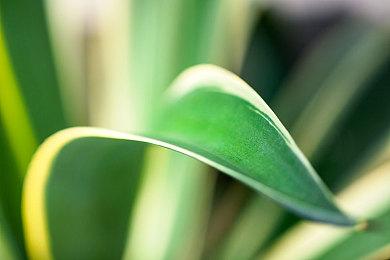 《生化危机4：重制版》VR模式实机演示 狂拼手速！